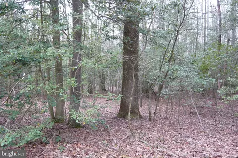 0 Trunk Rd, Henderson, MD 21640 photo 9