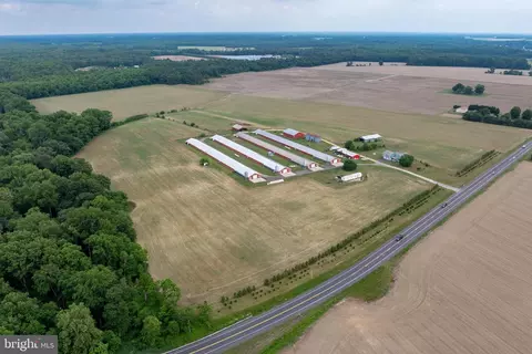 7347 Harmony Rd, Preston, MD 21655