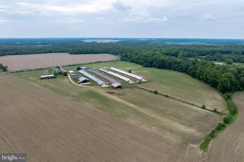 Other - 7347 Harmony Rd, Preston, MD 21655 photo 14 of 29