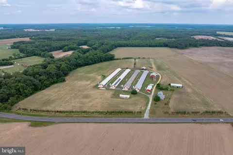 Other - 7347 Harmony Rd, Preston, MD 21655 photo 13 of 29