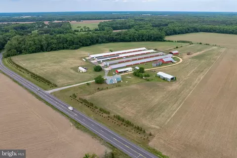 Other - 7347 Harmony Rd, Preston, MD 21655 photo 12 of 29