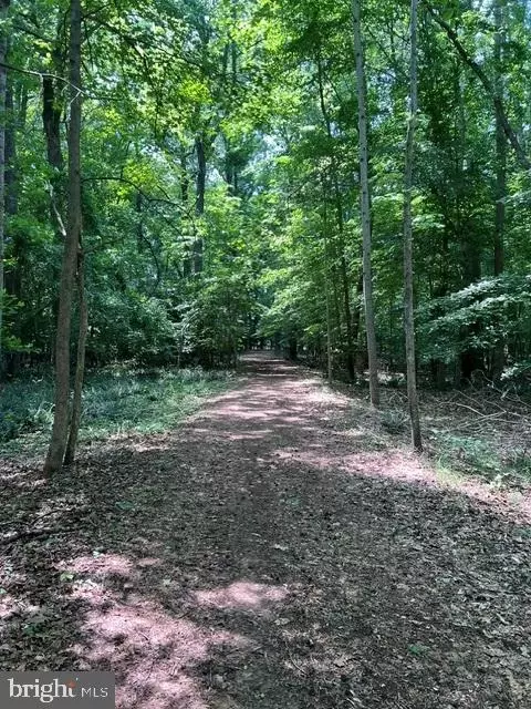 Other - 8047 Laurel Ln, Denton, MD 21629 photo 13 of 14