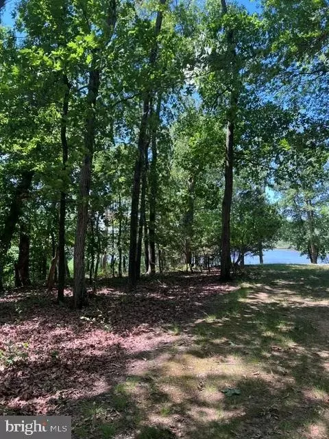 View/Area - 8047 Laurel Ln, Denton, MD 21629 photo 11 of 11