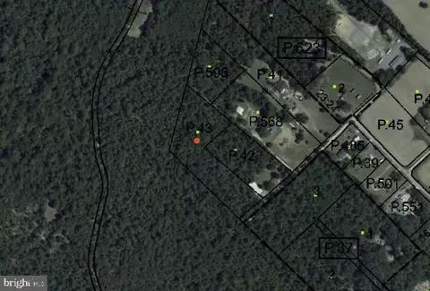 Houston Branch Road, Federalsburg, MD 21632
