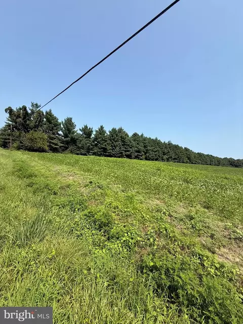 0000 Harmony Rd, Preston, MD 21655 photo 3