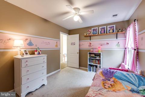 389 Choice Ct, Westminster, MD 21157 photo 29