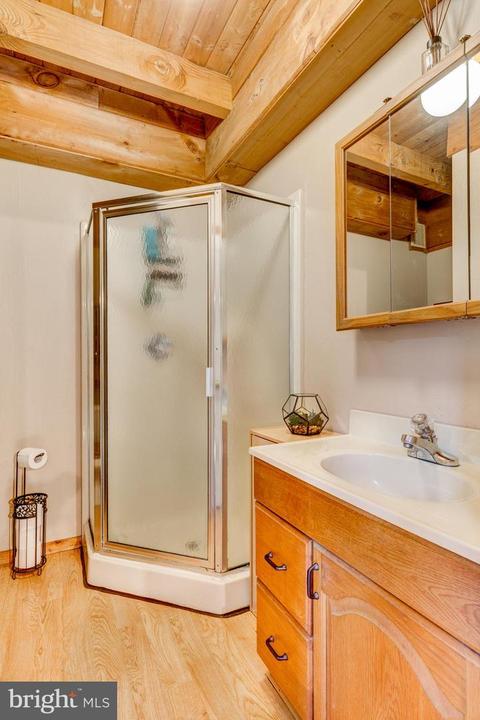 252 E Deep Run Rd, Westminster, MD 21158 photo 24