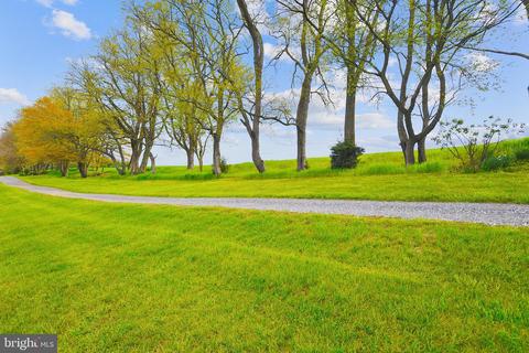 113 Weaver Ln, Hampstead, MD 21074 photo 44