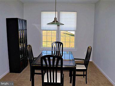 386 Choice Ct, Westminster, MD 21157 photo 10
