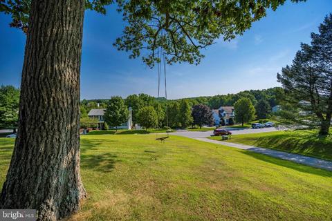 1107 Mint Ter, Westminster, MD 21157 photo 67