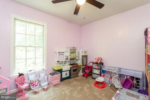 49 W Deep Run Rd, Westminster, MD 21158 photo 18