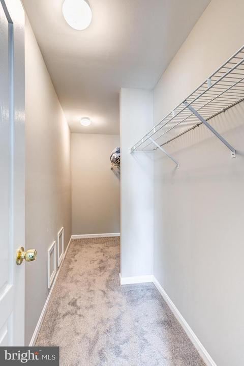 894 Backbone Ct, Westminster, MD 21157 photo 52