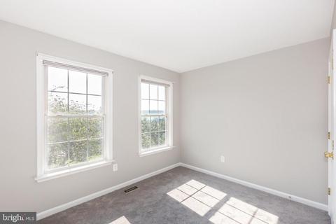 894 Backbone Ct, Westminster, MD 21157 photo 39