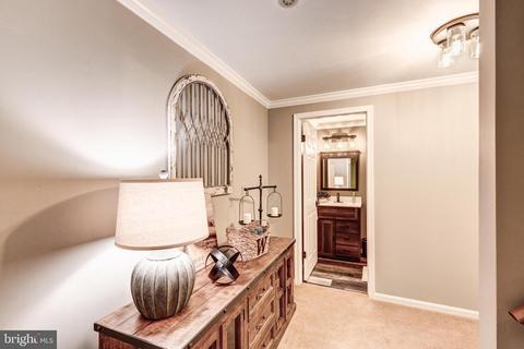 930 Burning Tree Ct, Westminster, MD 21158 photo 42