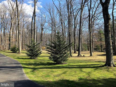 216 Leppo Rd, Westminster, MD 21158 photo 20
