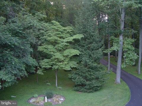 216 Leppo Rd, Westminster, MD 21158 photo 93