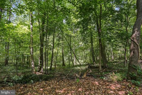 1806 Bloom Rd, Westminster, MD 21157 photo 30