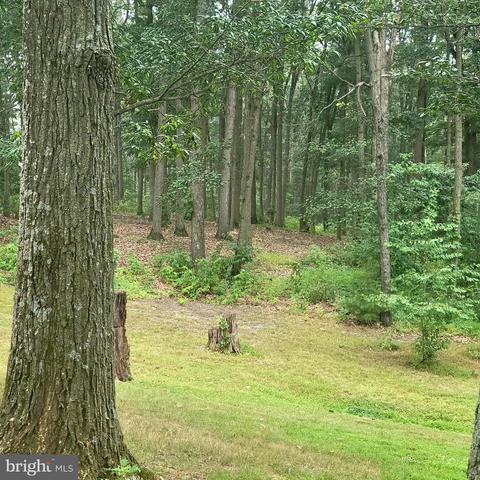 2408 Robert Arthur Rd, Westminster, MD 21158 photo 14