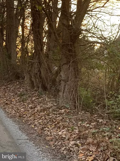 Leppo Road, Westminster, MD 21158 photo 5