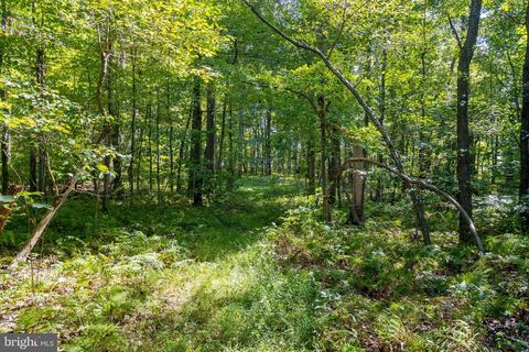 1652 Benson Rd, Westminster, MD 21158 photo 77