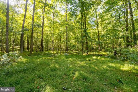 1652 Benson Rd, Westminster, MD 21158 photo 76