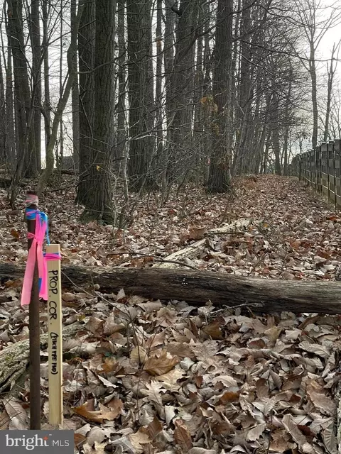 Parcel 331 Braddock Road, Mount Airy, MD 21771