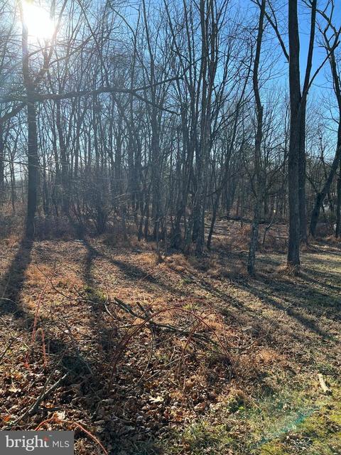 2463 Fairmount Rd, Hampstead, MD 21074 photo 4