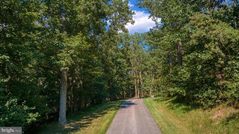 Buffalo, Mount Airy, MD 21771