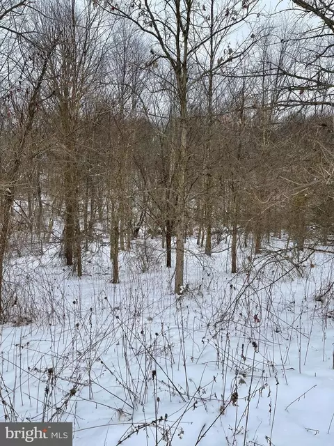 Goodwin Quarry, Westminster, MD 21157 photo 10
