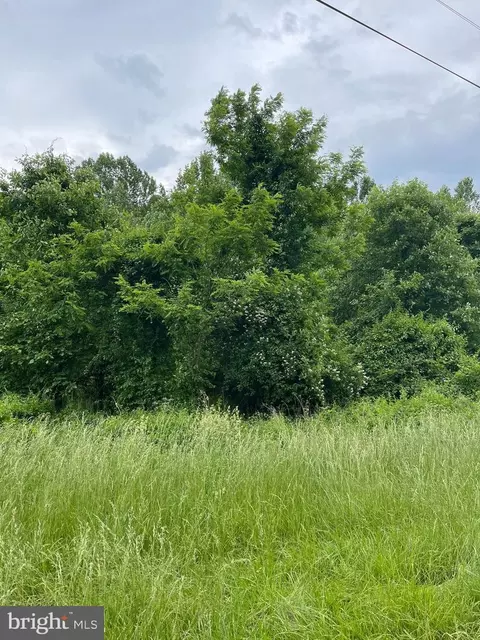 Goodwin Quarry, Westminster, MD 21157 photo 13