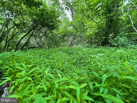 Goodwin Quarry, Westminster, MD 21157 photo 18