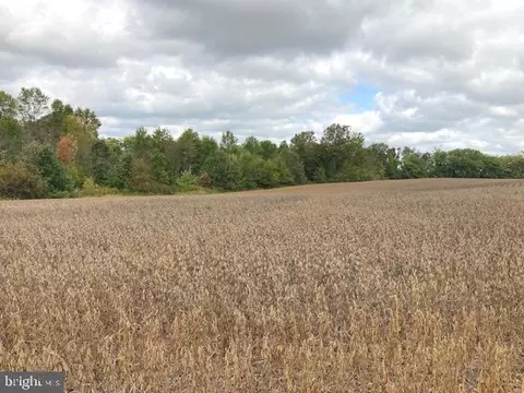 Crouse Mill, Taneytown, MD 21787 photo 4