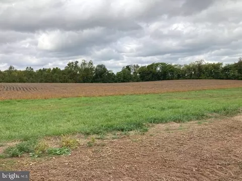 Crouse Mill, Taneytown, MD 21787 photo 3
