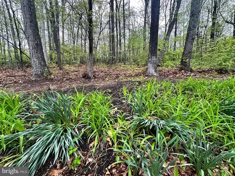 Exterior - 193 Kirkhoff Rd, Westminster, MD 21158 photo 6 of 8