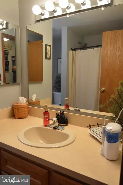 Bath - 37 1 Middle St, Taneytown, MD 21787 photo 4 of 6