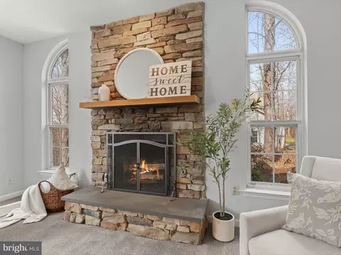 Living - 878 Backbone Ct, Westminster, MD 21157 photo 6 of 7