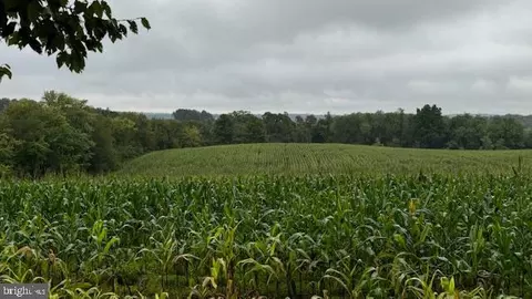 Halter Road, Westminster, MD 21158 photo 9