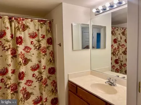 Bath - 3810 Normandy Dr #3B, Hampstead, MD 21074 photo 1 of 1
