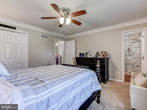 47 Falling Leaf Ct, Westminster, MD 21157 photo 20