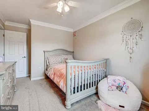 47 Falling Leaf Ct, Westminster, MD 21157 photo 25
