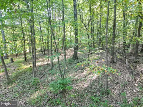 3319 Mail Rd, Westminster, MD 21157 photo 56