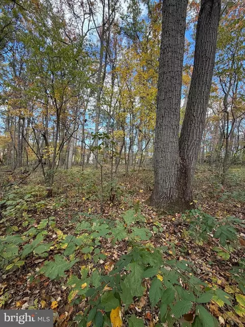 Dave Rill Road, Hampstead, MD 21074 photo 4
