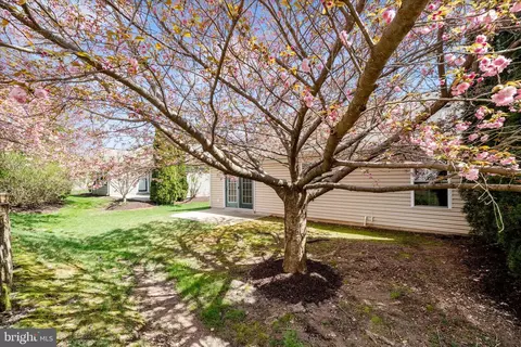 Exterior - 908 Roller Coaster Ct, Mount Airy, MD 21771 photo 8 of 20