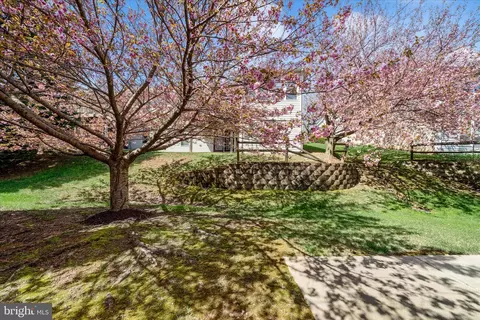 Exterior - 908 Roller Coaster Ct, Mount Airy, MD 21771 photo 12 of 20