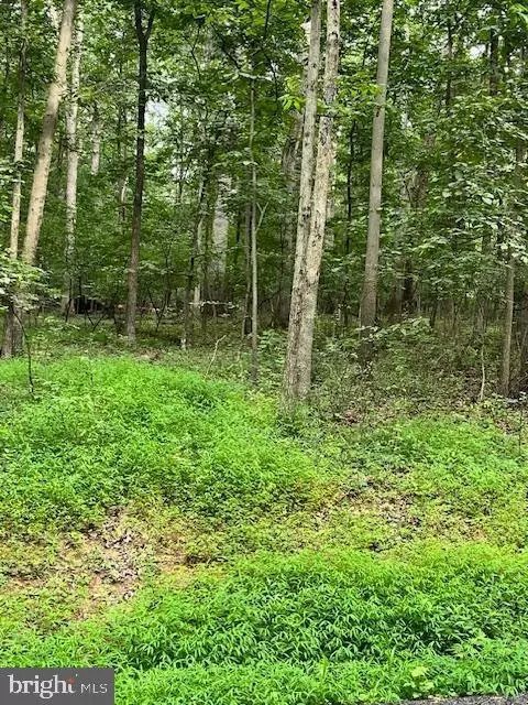 Baumgardner Rd S, Keymar, MD 21757 photo 2