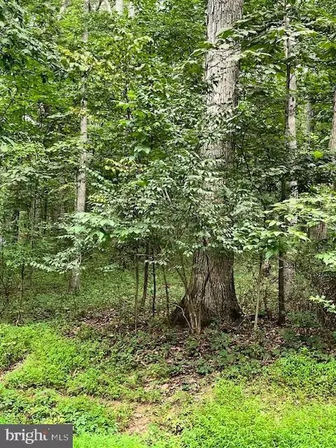 Baumgardner Rd S, Keymar, MD 21757 photo 1