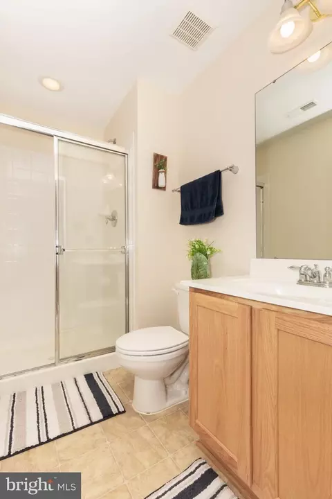 Bath - 672 Spring Meadow Dr, Westminster, MD 21158 photo 6 of 6