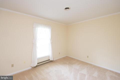 303 Oak St, Hurlock, MD 21643 photo 25