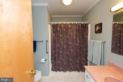 303 Oak St, Hurlock, MD 21643 photo 29