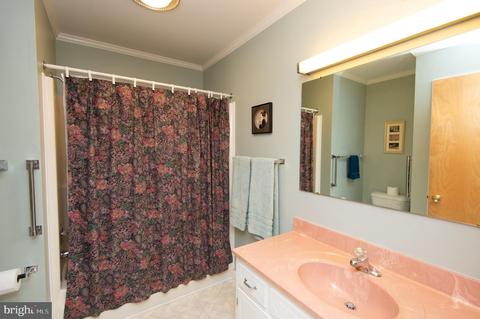 303 Oak St, Hurlock, MD 21643 photo 28